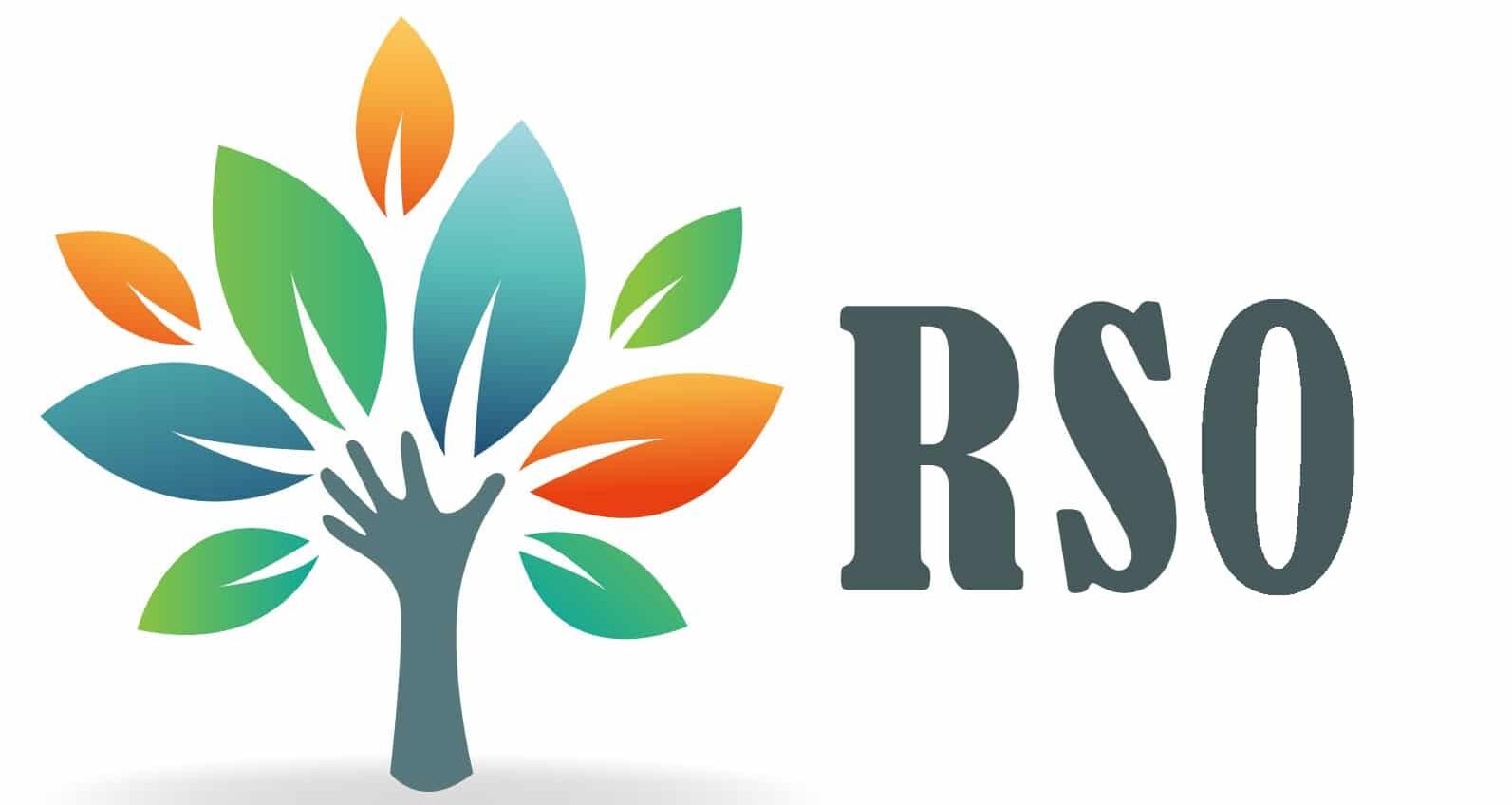 Responsabilité Sociétale des Organisations